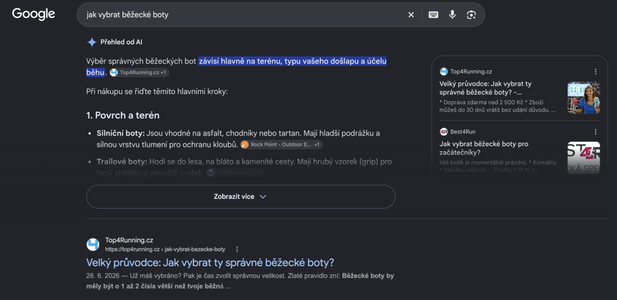 AI Overviews a vyhledávání